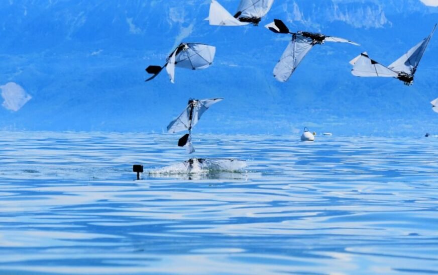 A flapping robot swims and flies like a diving bird